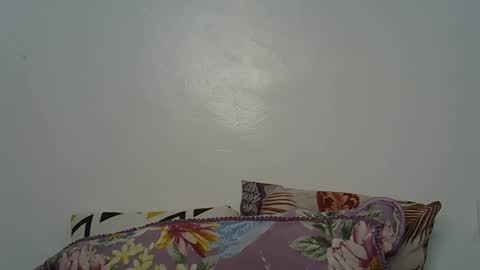 Snapshot of beeswee chatting on December 19, 6:01 am beeswee online show from December 19, 6:01 am