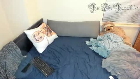 Snapshot of beethebumblebee chatting on July 4, 5:57 am Bee online show from July 4, 5:57 am