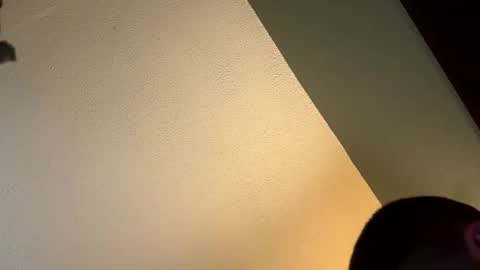 Snapshot of begme88 chatting on October 7, 1:58 am begme88 online show from October 7, 1:58 am