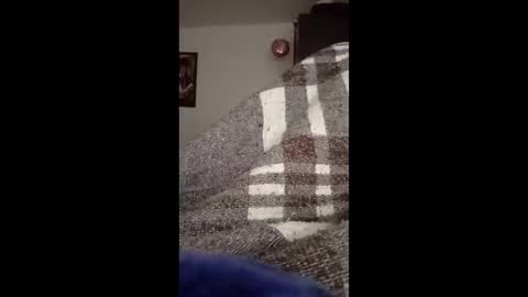 Snapshot of belcebu472402 chatting on November 2, 2:41 pm belcebu472402 online show from November 2, 2:41 pm