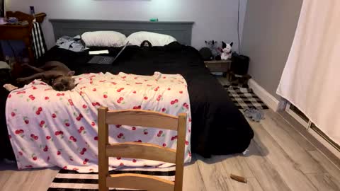 Roxy Rain online show from March 1, 4:00 pm