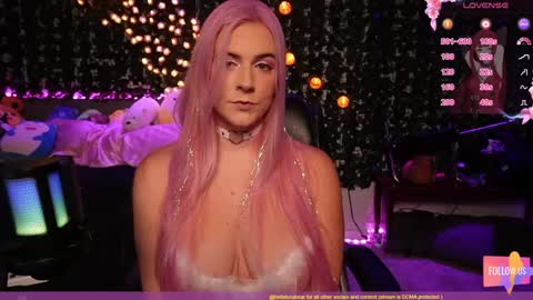 Bellalunabear trans   JadePlant Cis online show from December 1, 9:59 pm