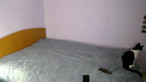 Snapshot of bellaqueen0701 chatting on March 6, 5:33 pm bellaqueen0701 online show from March 6, 5:33 pm