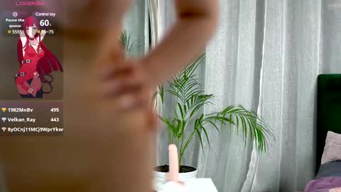 Belle online show from February 12, 11:29 am