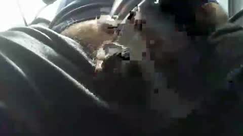 beninoam75 online show from October 15, 7:03 pm