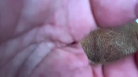 benz10001 online show from January 5, 2:19 pm