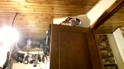 bernichaos77 online show from February 21, 2:34 am