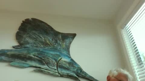 Snapshot of bestshot1951 chatting on March 20, 1:49 pm bestshot1951 online show from March 20, 1:49 pm