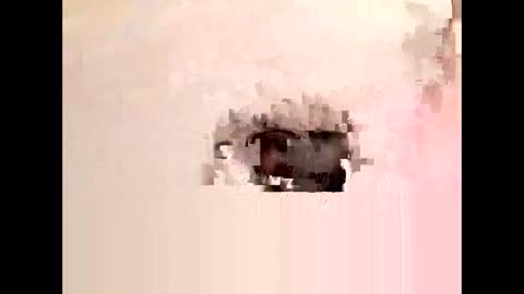 Cock arabic Authentic online show from November 11, 8:42 pm
