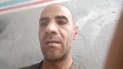 Cock arabic Authentic online show from June 4, 12:00 pm