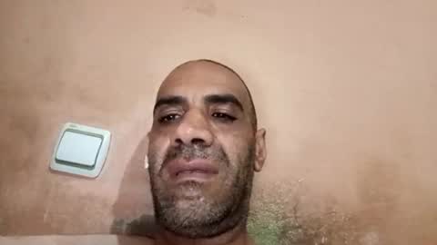 Cock arabic Authentic online show from June 6, 7:46 am