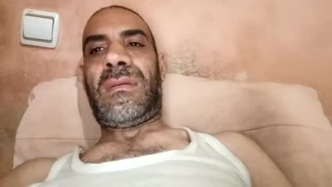 Cock arabic Authentic online show from June 15, 8:05 am