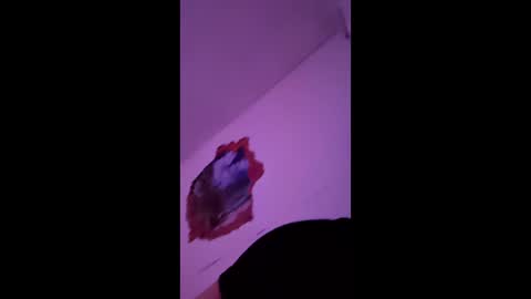 Snapshot of bgiamba21 chatting on February 7, 10:19 am bgiamba21 online show from February 7, 10:19 am