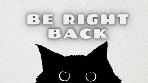 Snapshot of bibiana_js_ chatting on February 15, 7:51 am bibiana_js_ online show from February 15, 7:51 am