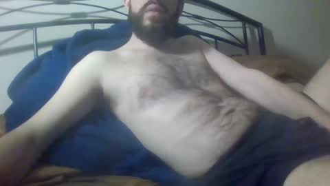 bibotguy online show from December 19, 4:02 am