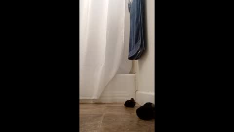 bibottom68942 online show from December 22, 12:24 pm