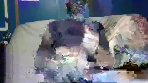 big9inchsnake online show from December 9, 10:20 pm