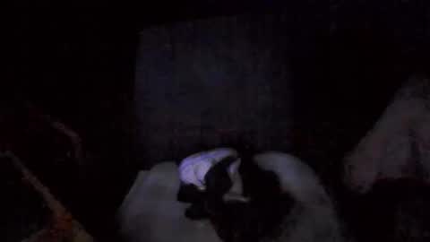 big_davis4 online show from November 30, 12:42 pm