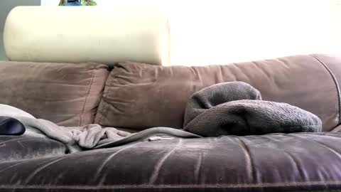 bigboadick online show from October 31, 2:18 pm