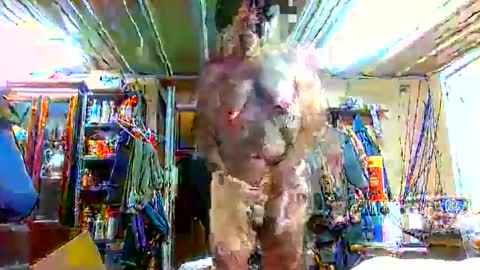 Snapshot of bigboy_604630544 chatting on September 28, 1:16 pm bigboy_604630544 online show from September 28, 1:16 pm