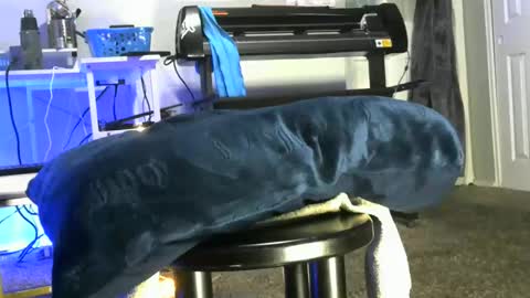 bigboybigbutt69 online show from May 6, 10:31 am