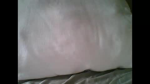 bigbravo337 online show from November 22, 2:27 pm