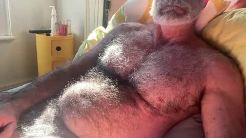 big bush online show from July 13, 2:03 am