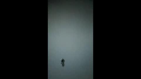 bigchorizo18 online show from March 17, 5:00 am