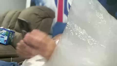 Snapshot of bigcocksuckingslut chatting on September 19, 4:51 pm bigcocksuckingslut online show from September 19, 4:51 pm