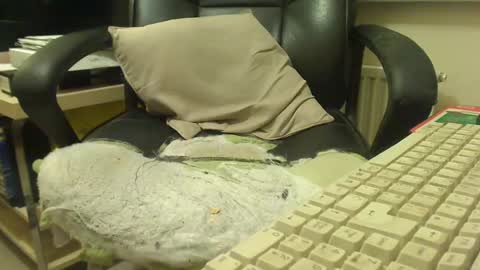 bigcurve online show from January 30, 8:21 pm