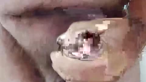 bigdforfun2nite online show from October 15, 11:16 pm