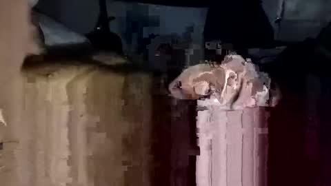 bigdickdaddy7201979564868 online show from November 23, 2:17 pm