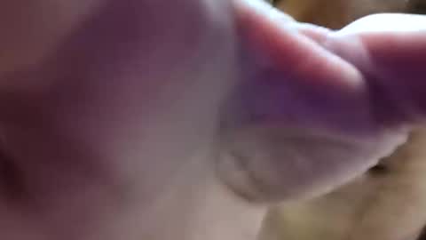 bigdickdaddy7201979564868 online show from June 10, 8:24 am