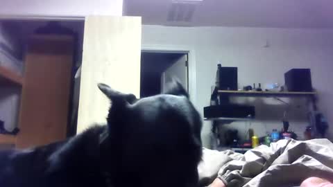 bigdickdaddy7201979564868 online show from June 19, 6:40 am