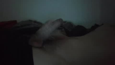 bigdickenergy2220 online show from December 3, 9:01 pm