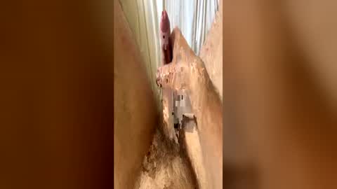 bigdickplaya_ online show from June 23, 12:14 pm