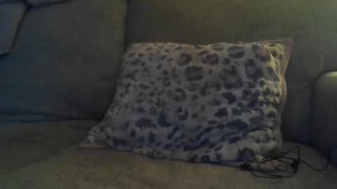 bigdt444420 online show from November 17, 5:13 am