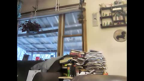 Snapshot of bigelectricrod chatting on January 5, 12:31 pm bigelectricrod online show from January 5, 12:31 pm