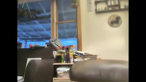 Snapshot of bigelectricrod chatting on February 1, 11:54 am bigelectricrod online show from February 1, 11:54 am