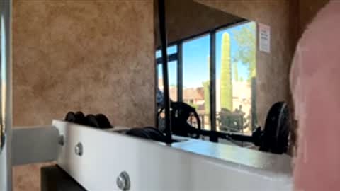 Gavin online show from November 29, 8:12 pm