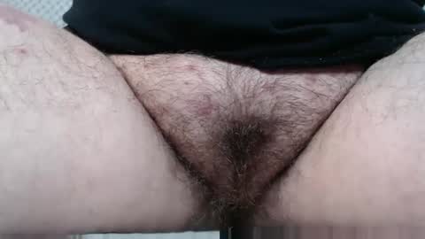 Snapshot of bighairyabby chatting on November 2, 3:03 pm Abby online show from November 2, 3:03 pm