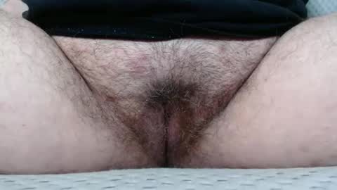 Snapshot of bighairyabby chatting on November 8, 4:07 pm Abby online show from November 8, 4:07 pm