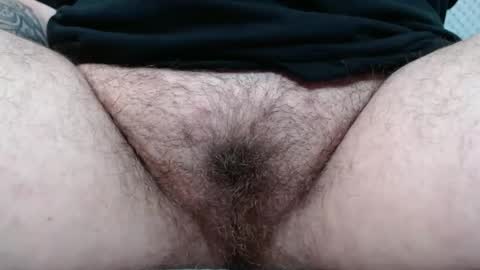 Snapshot of bighairyabby chatting on November 10, 1:59 am Abby online show from November 10, 1:59 am