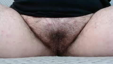 Snapshot of bighairyabby chatting on November 10, 5:01 pm Abby online show from November 10, 5:01 pm