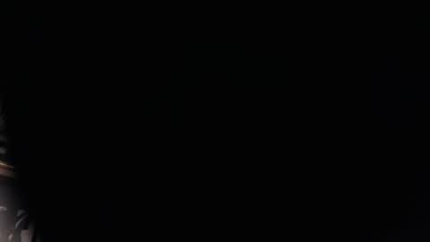 Snapshot of bigjohnofthewood chatting on January 24, 9:47 pm BigJohnOfTheWoods online show from January 24, 9:47 pm