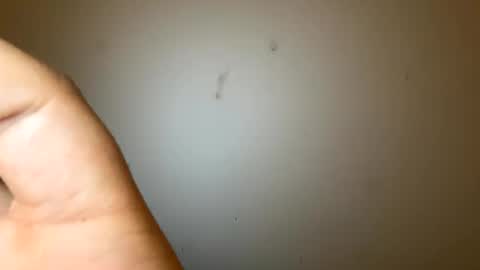 bigmaanbulk online show from January 26, 2:45 am