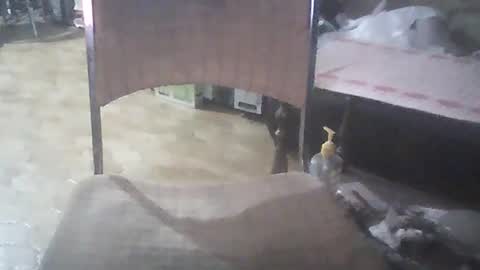 bigpenix online show from January 26, 3:48 am