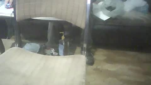 bigpenix online show from October 17, 2:04 am