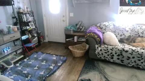 Snapshot of bigskittles4you chatting on February 24, 5:22 pm Skittles online show from February 24, 5:22 pm