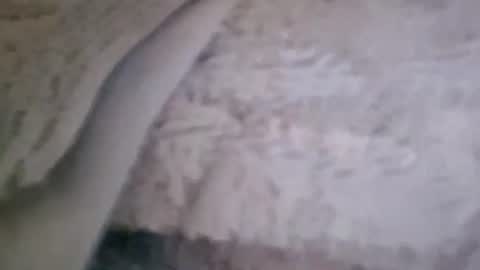 Snapshot of bigsssnake69 chatting on July 9, 10:47 pm bigsssnake69 online show from July 9, 10:47 pm
